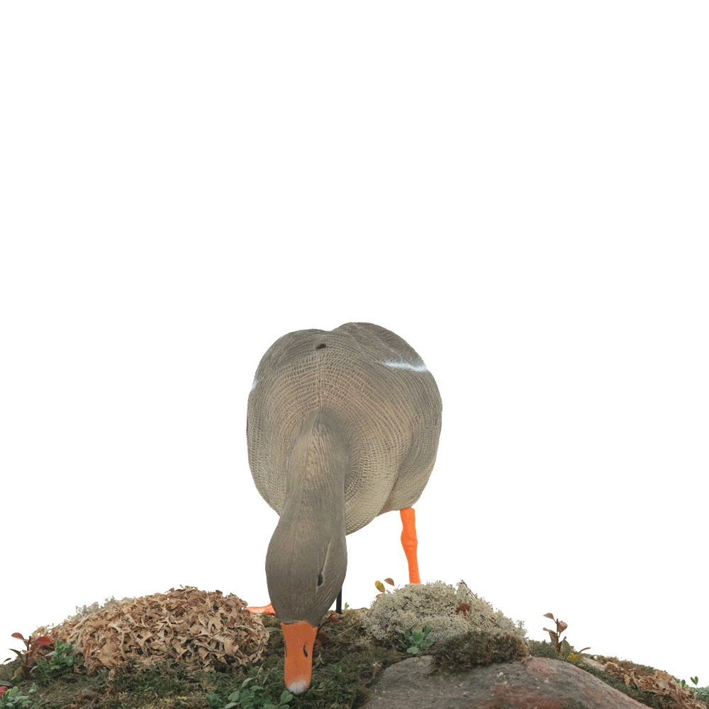 Серый гусь KING CUSTOM OSCAR DECOYS Greylag Goose Мягкий пластик 10 шт (8+2) EG10. Фото №4