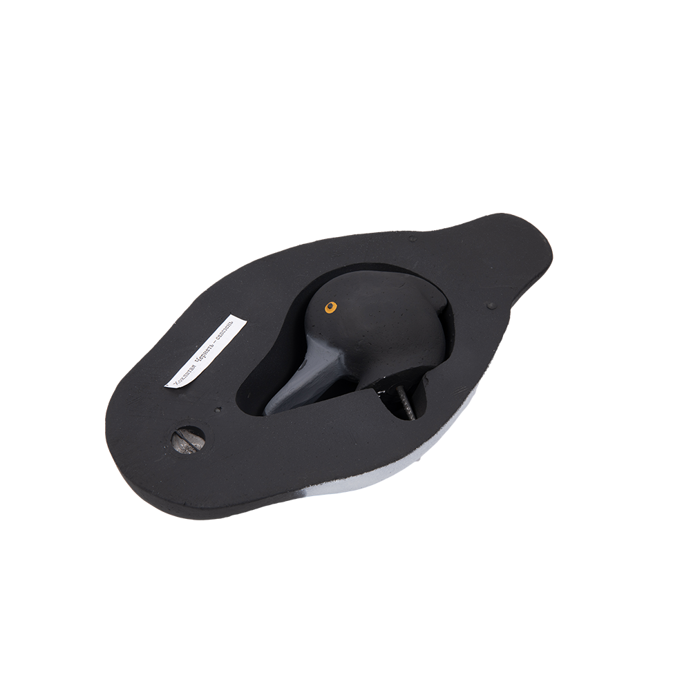 Муляж Хохлатая чернеть - Селезень (Томск). Фото №3