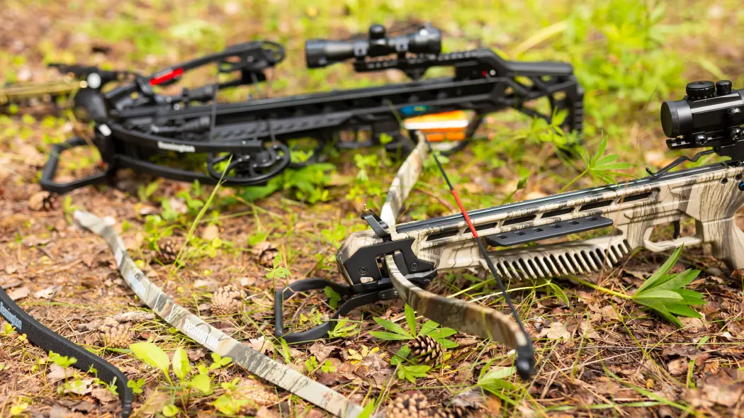 Арбалеты: история и назначение в современном мире