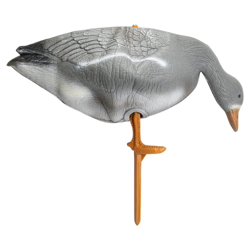 Гусь белолобый кормящийся (надувной). Фото №1