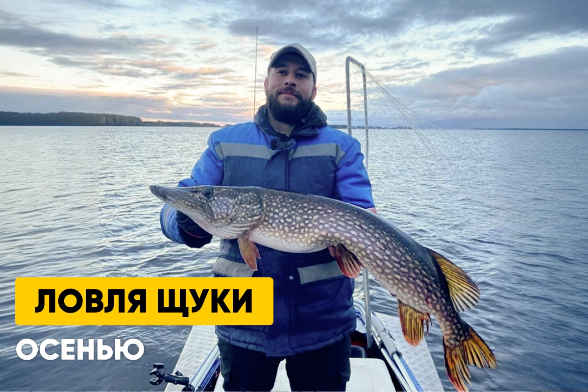 Ловля щуки осенью: на что и где ловить, приманки; когда у щуки жор?
