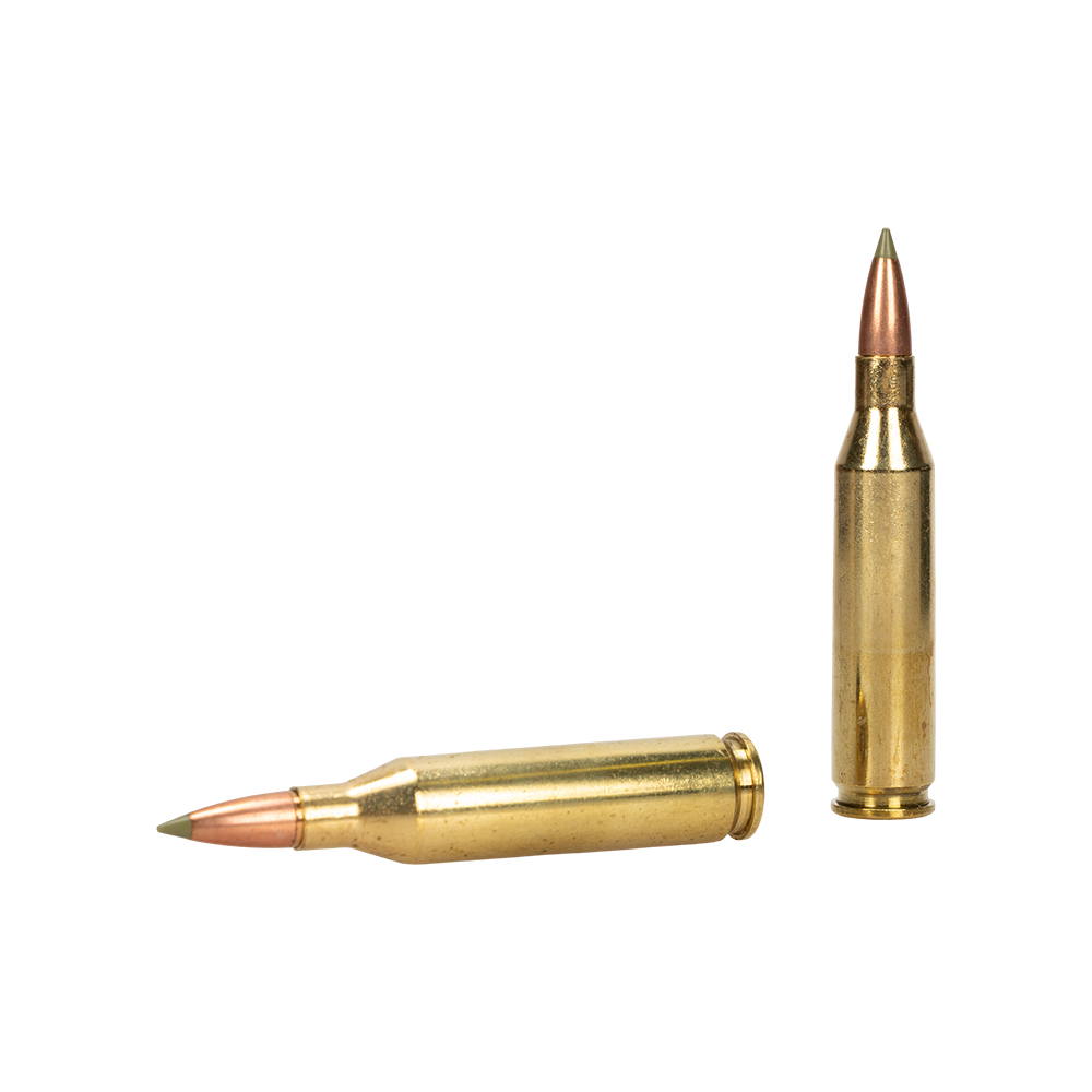 Патрон нарезной Nosler ETA кал.243 Win 5,8гр/90gr ET SP (в пачке 20 шт.). Фото №5 Патрон нарезной Nosler ETA кал.243 Win 5,8гр/90gr ET SP (в пачке 20 шт.). Фото №5