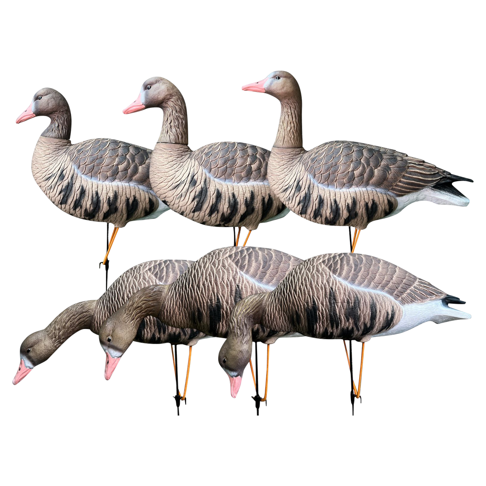 Белолобый гусь Oscar Decoys Avian-Mix ELITE 3D 6 шт Сминаемые(3-корм,2-отд,1-сторож)Съем.гол.ESG6. Фото №5 Белолобый гусь Oscar Decoys Avian-Mix ELITE 3D 6 шт Сминаемые(3-корм,2-отд,1-сторож)Съем.гол.ESG6. Фото №5