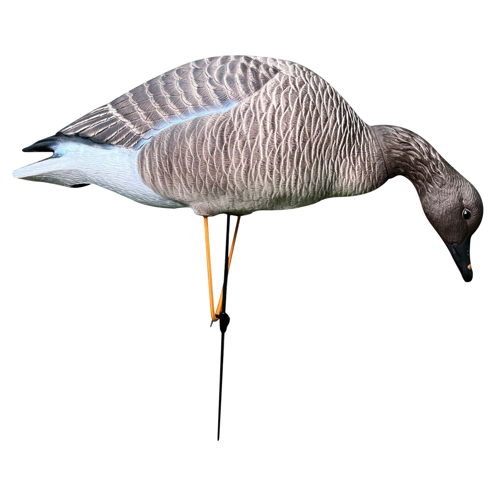 Гуменник гусь Oscar Decoys Avian-Mix ELITE 3D 6 шт Сминаемые(3-корм,2-отд,1-сторож)Съем.гол.EGG6 . Фото №5 Гуменник гусь Oscar Decoys Avian-Mix ELITE 3D 6 шт Сминаемые(3-корм,2-отд,1-сторож)Съем.гол.EGG6 . Фото №5
