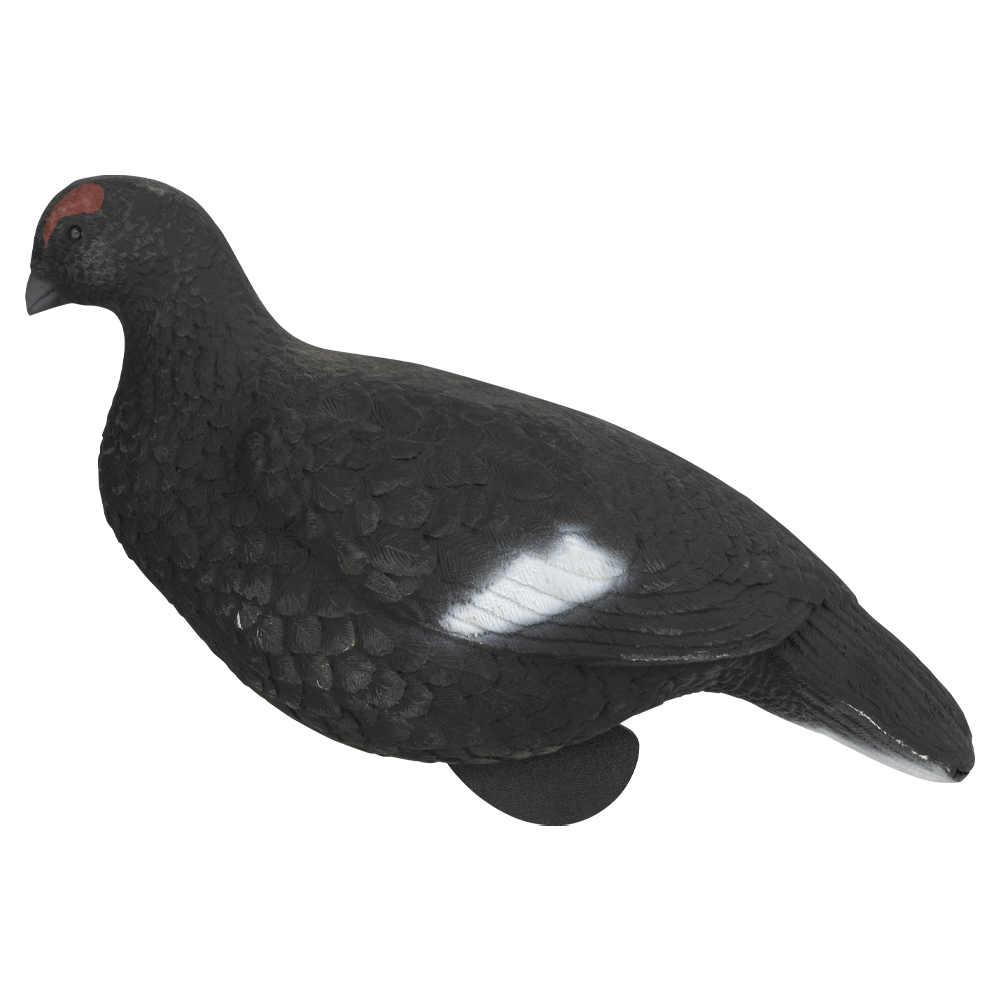 Муляж Тетерев (Томск). Фото №3