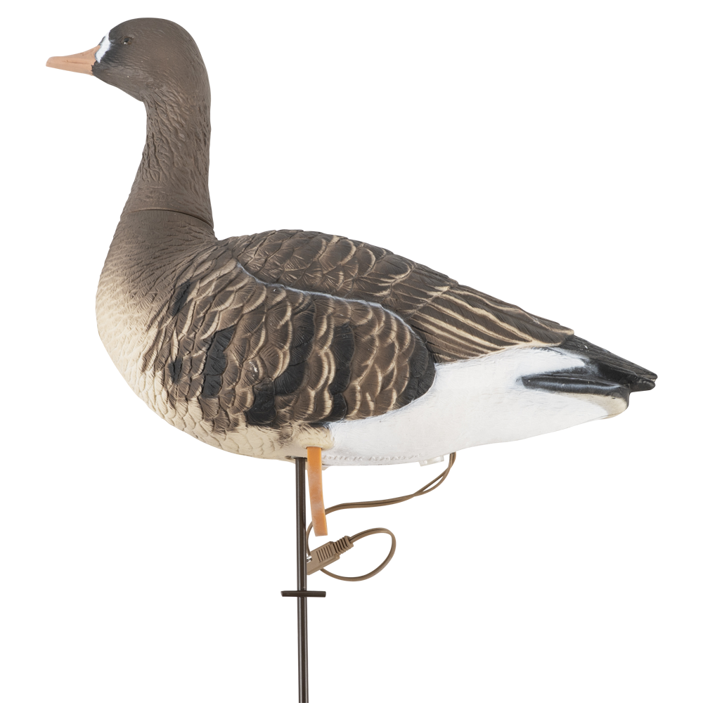 Гусь белолобый, электромеханический, DuckMania  DM-ROB501. Фото №2