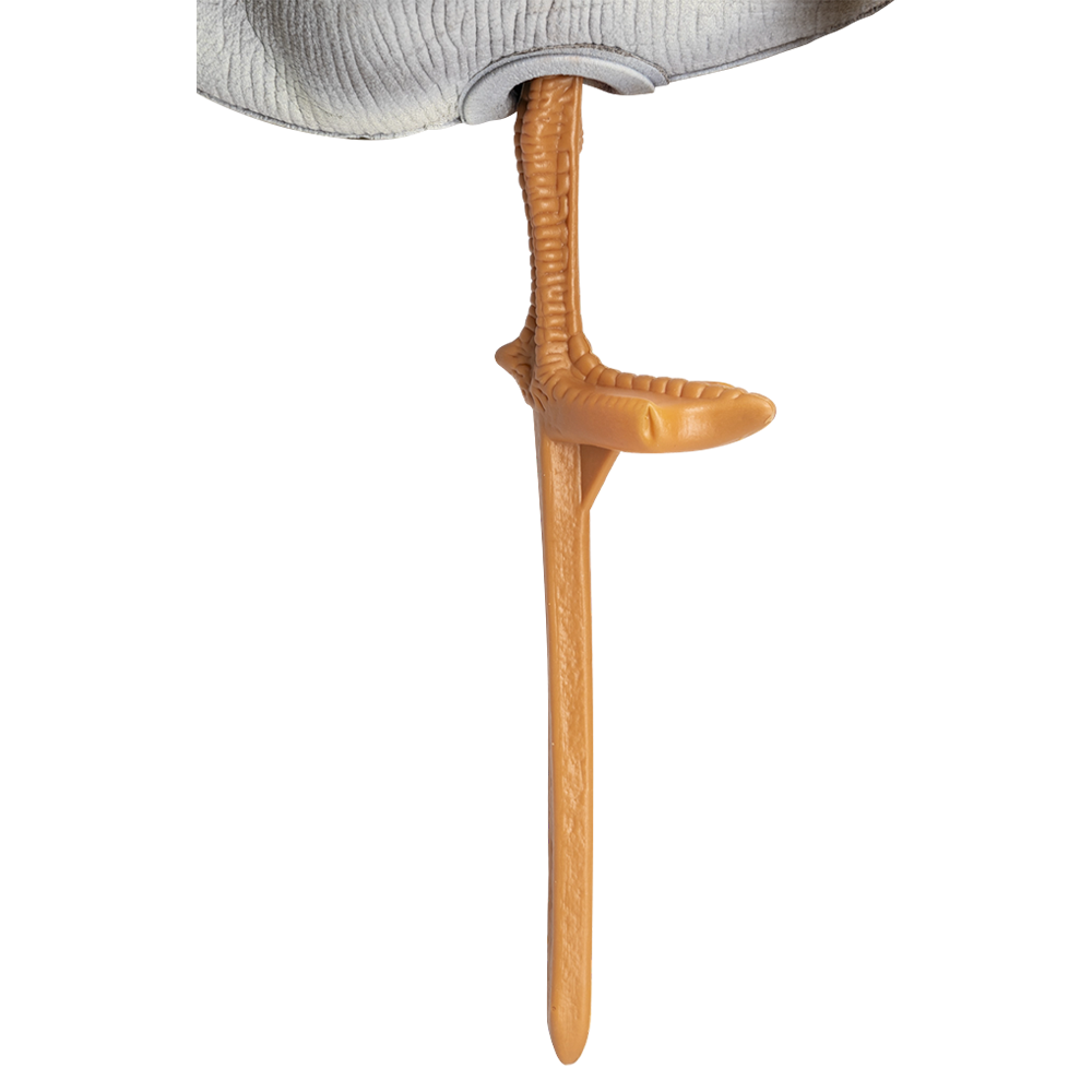 Гусь гуменник кормящийся (надувной). Фото №2 Гусь гуменник кормящийся (надувной). Фото №2