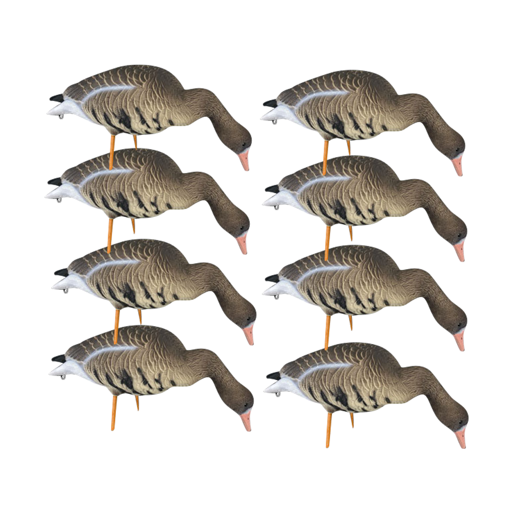 Белолобый гусь OSCAR DECOYS ELITE 3D Speckbelly Goose Мягкий пластик 10 шт (8+2) ESG10. Фото №3 Белолобый гусь OSCAR DECOYS ELITE 3D Speckbelly Goose Мягкий пластик 10 шт (8+2) ESG10. Фото №3