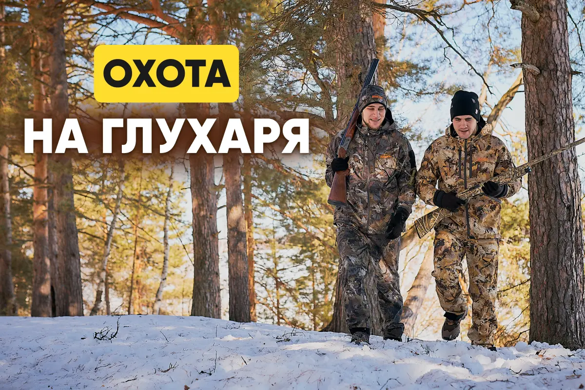 Охота на глухаря: тактика и особенности, снаряжение, как найти глухариный ток