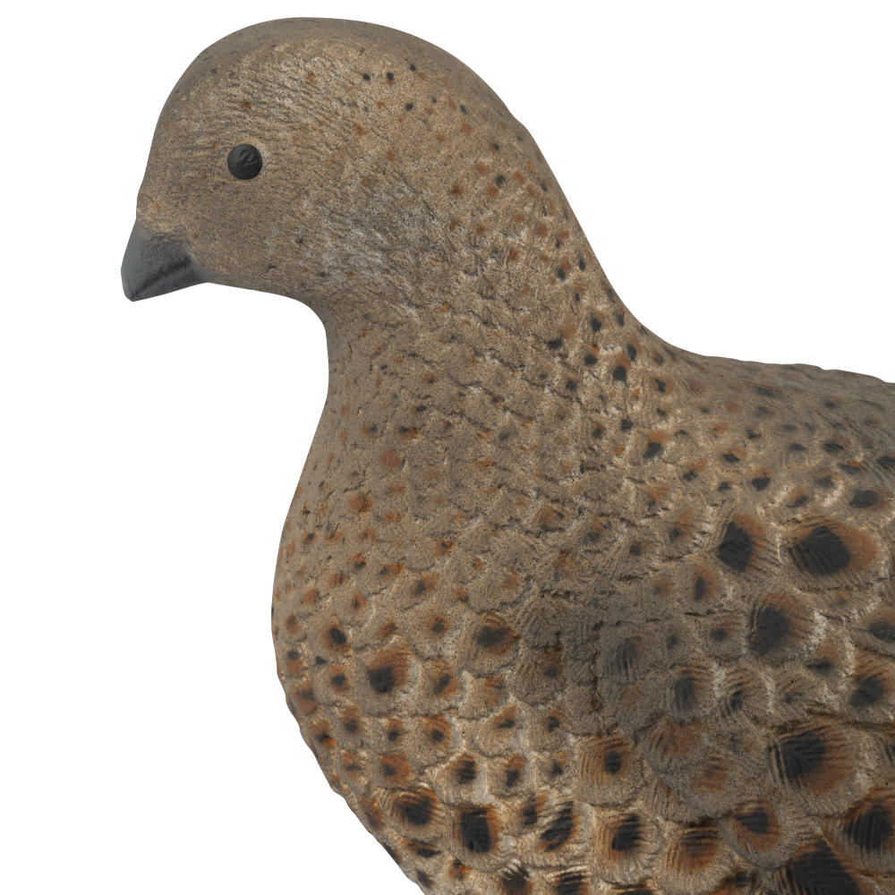 Муляж Тетерка (Томск). Фото №3