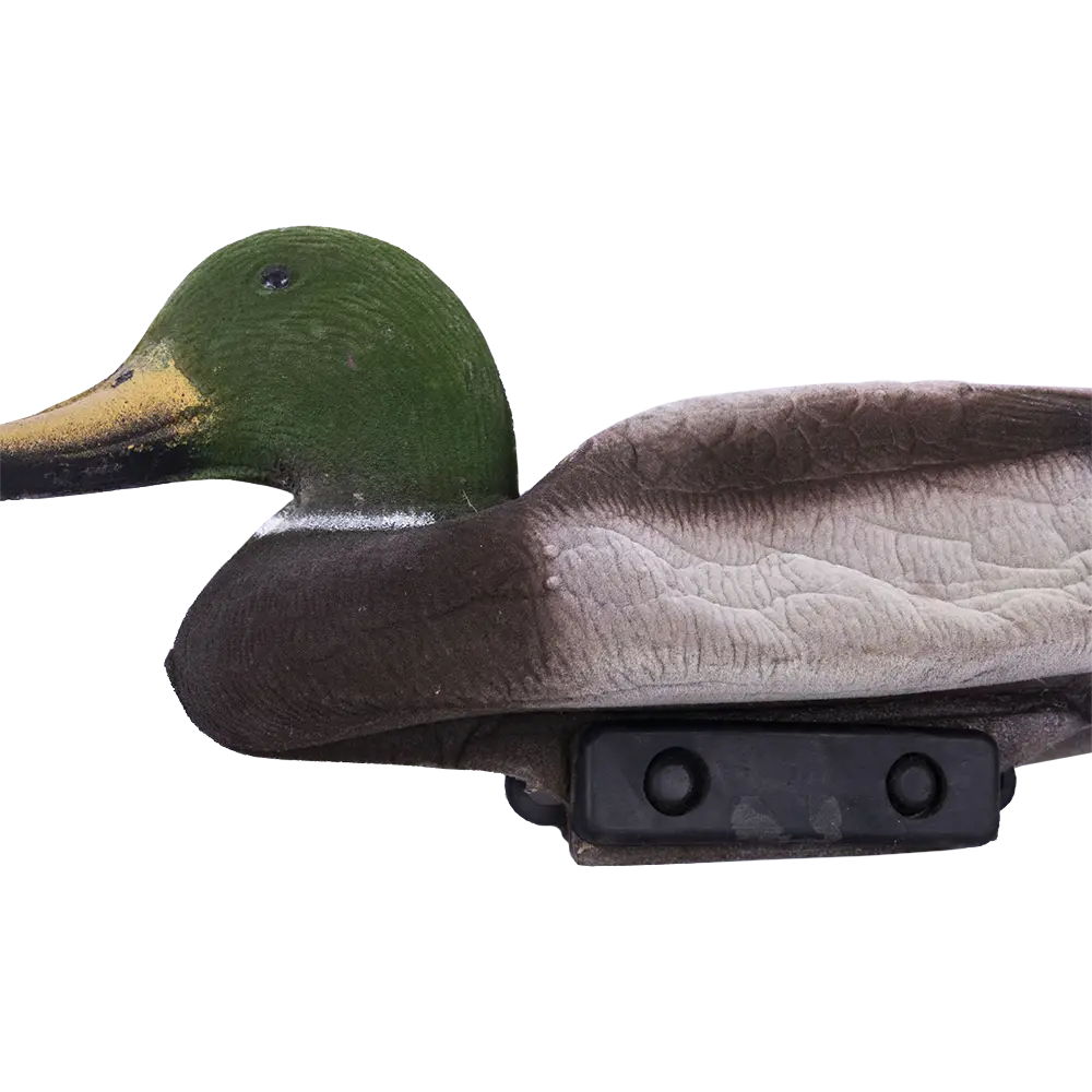Чучело Утки-Селезень Флокированный. Фото №2