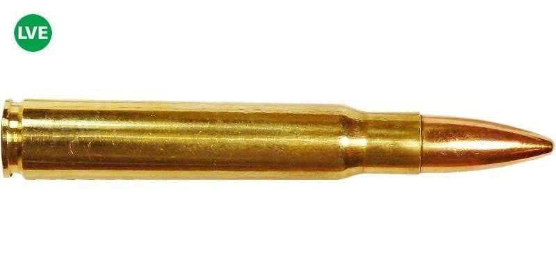 Патрон нарезной 9,3х64 SP ГЛ биметалл (НПЗ) ( в пачке 20 шт.) ( в коробке 280 шт.). Фото №2 Патрон нарезной 9,3х64 SP ГЛ биметалл (НПЗ) ( в пачке 20 шт.) ( в коробке 280 шт.). Фото №2