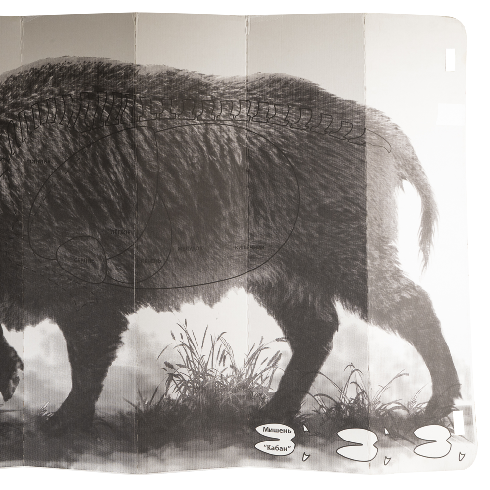 Мишень "Кабан". Фото №3