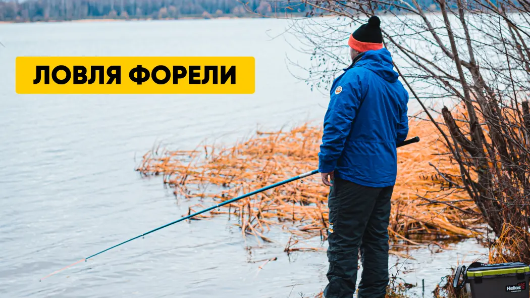 Ловля форели: где и как ловить; снасти, сезоны и погода