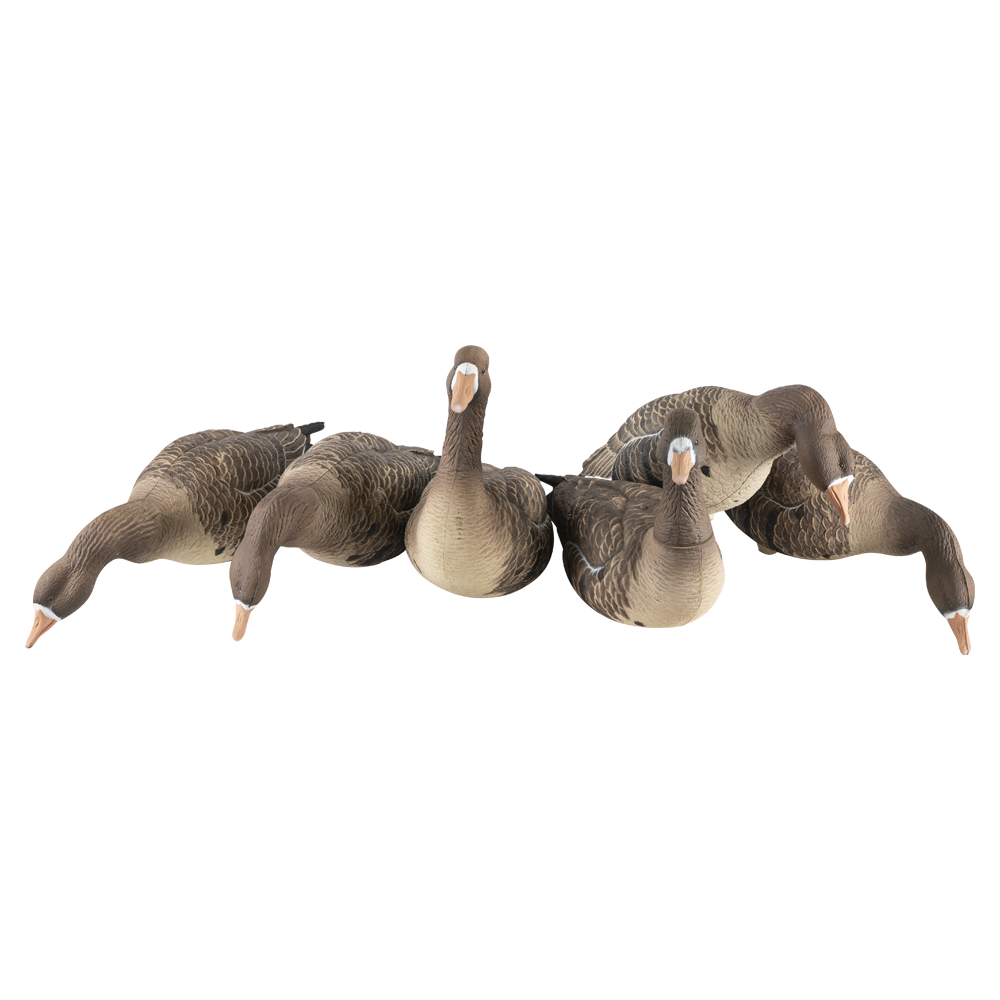 Гусь белолобый, 5 штук + 1 робот DuckMania® DM-777501. Фото №1