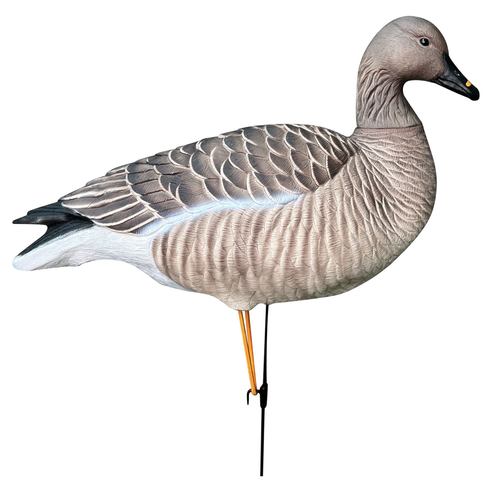Гуменник гусь Oscar Decoys Avian-Mix ELITE 3D 6 шт Сминаемые(3-корм,2-отд,1-сторож)Съем.гол.EGG6 . Фото №3 Гуменник гусь Oscar Decoys Avian-Mix ELITE 3D 6 шт Сминаемые(3-корм,2-отд,1-сторож)Съем.гол.EGG6 . Фото №3