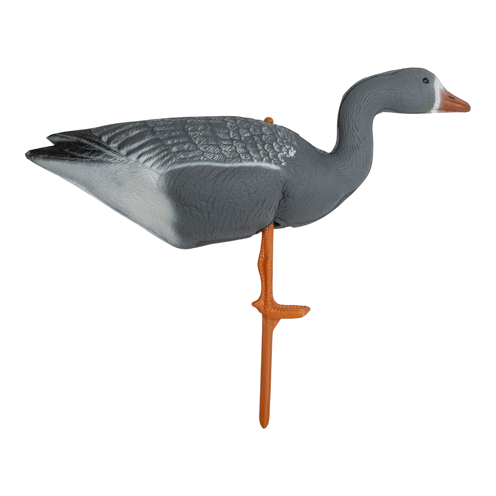 Муляж Гусь белолобый, отдыхающий, вид-2 (прямосмотрящий) (надувной). Фото №2