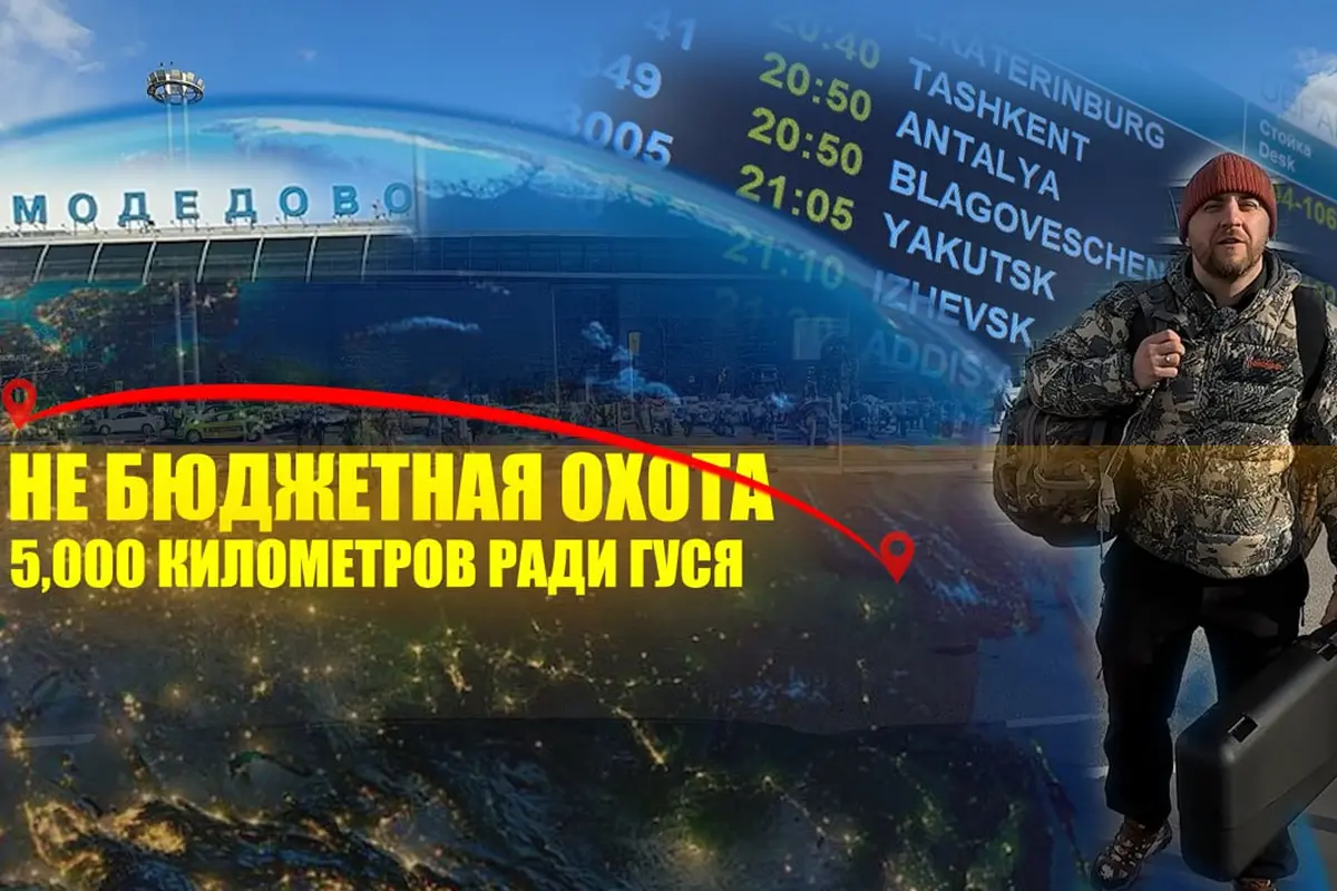 НЕ бюджетная охота на гуся