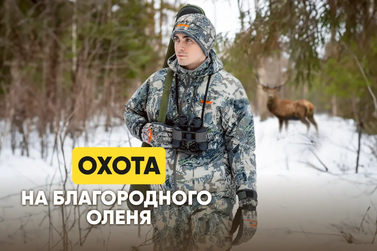 Как охотиться на оленя: сроки; способы: на реву, с подхода, с вышки