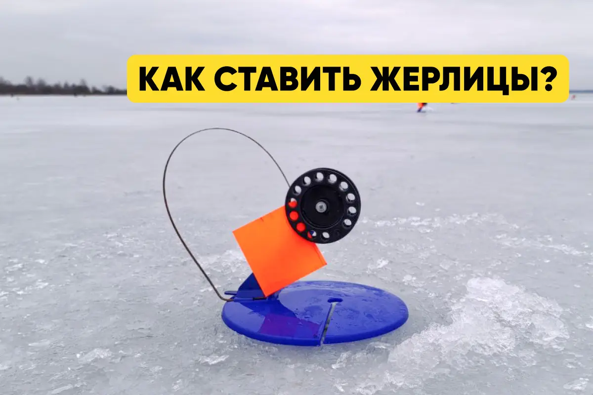 Как ставить жерлицы?