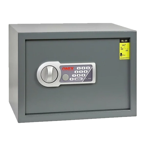 Металические ящики для хранения ценностей BL-25. Фото №1