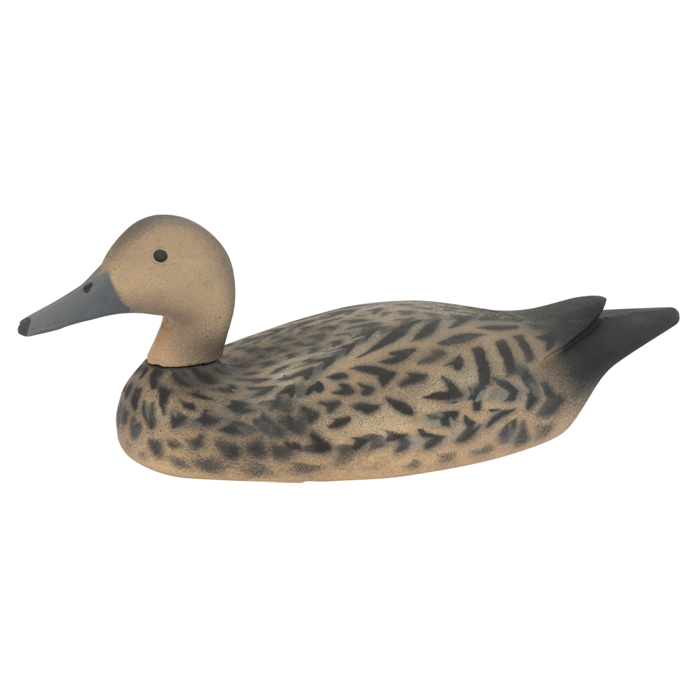 Муляж Шилохвость - Утка (Томск). Фото №1