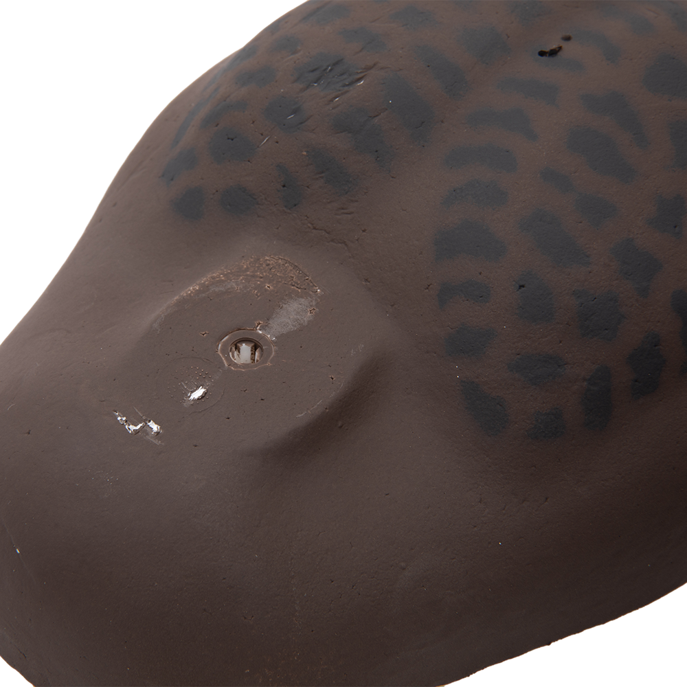 Муляж Хохлатая чернеть - Утка (Томск). Фото №4