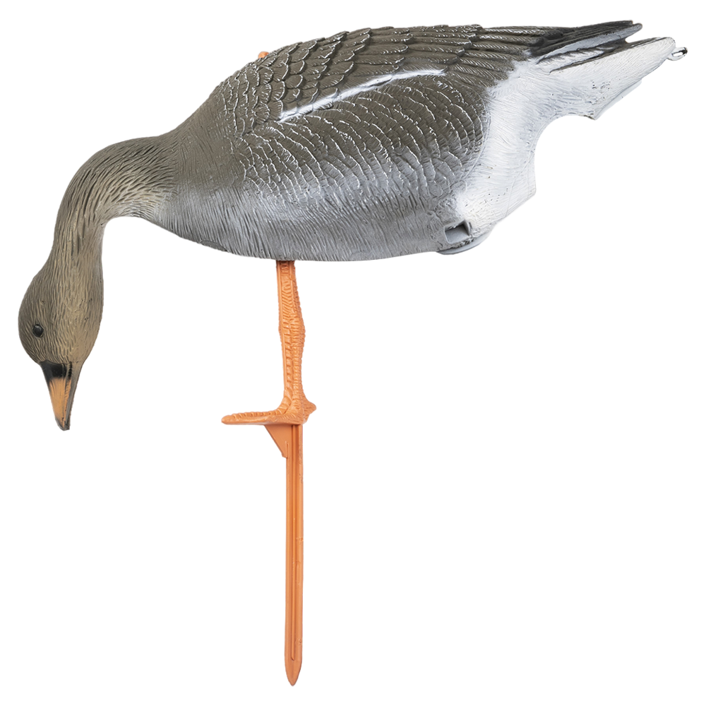 Чучело Sport Plast гусь Гуменник кормящийся. Фото №4