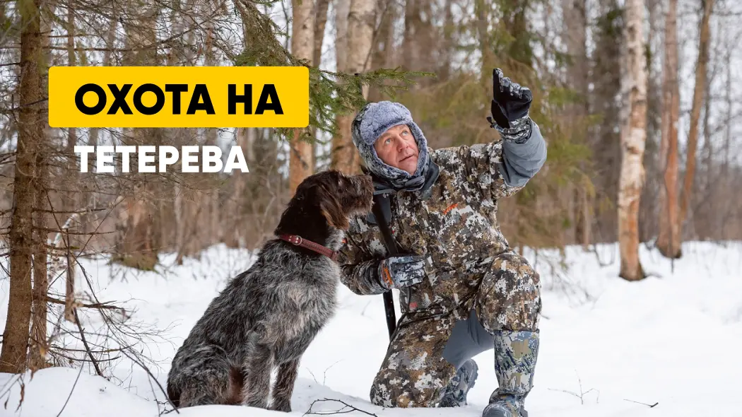 Охота на тетерева осенью и зимой: с подхода, с чучелом, на лунках