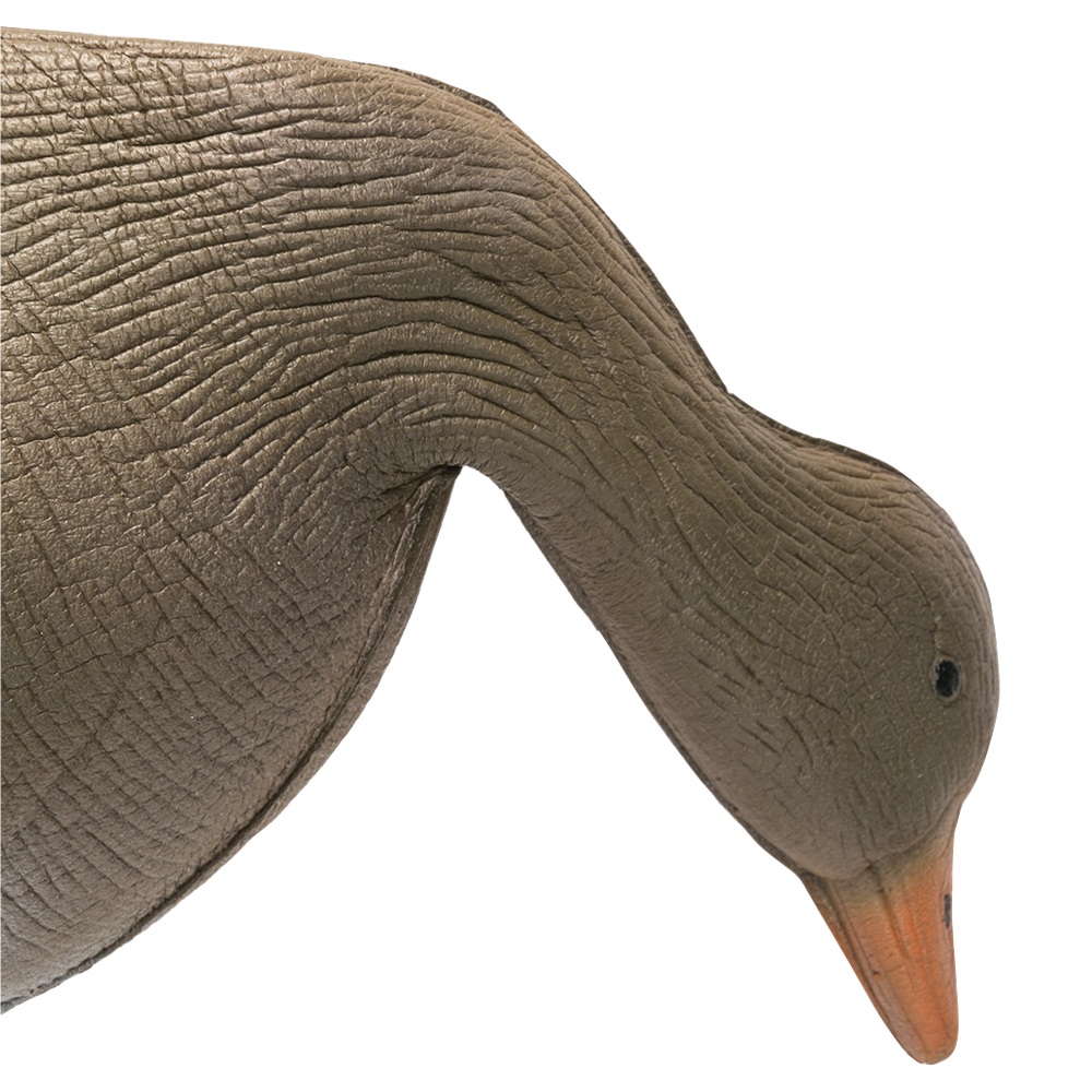 Гусь гуменник кормящийся (надувной). Фото №3 Гусь гуменник кормящийся (надувной). Фото №3