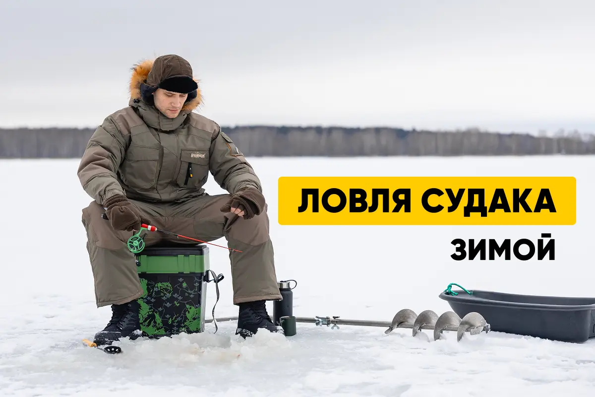 Судак зимой: где и как ловить, выбор живца, особенности рыбалки Судак зимой: где и как ловить, выбор живца, особенности рыбалки