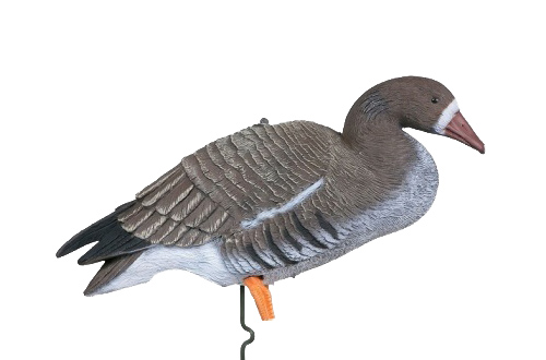 Чучело Sport Plast гусь Белолобый отдыхающий. Фото №2