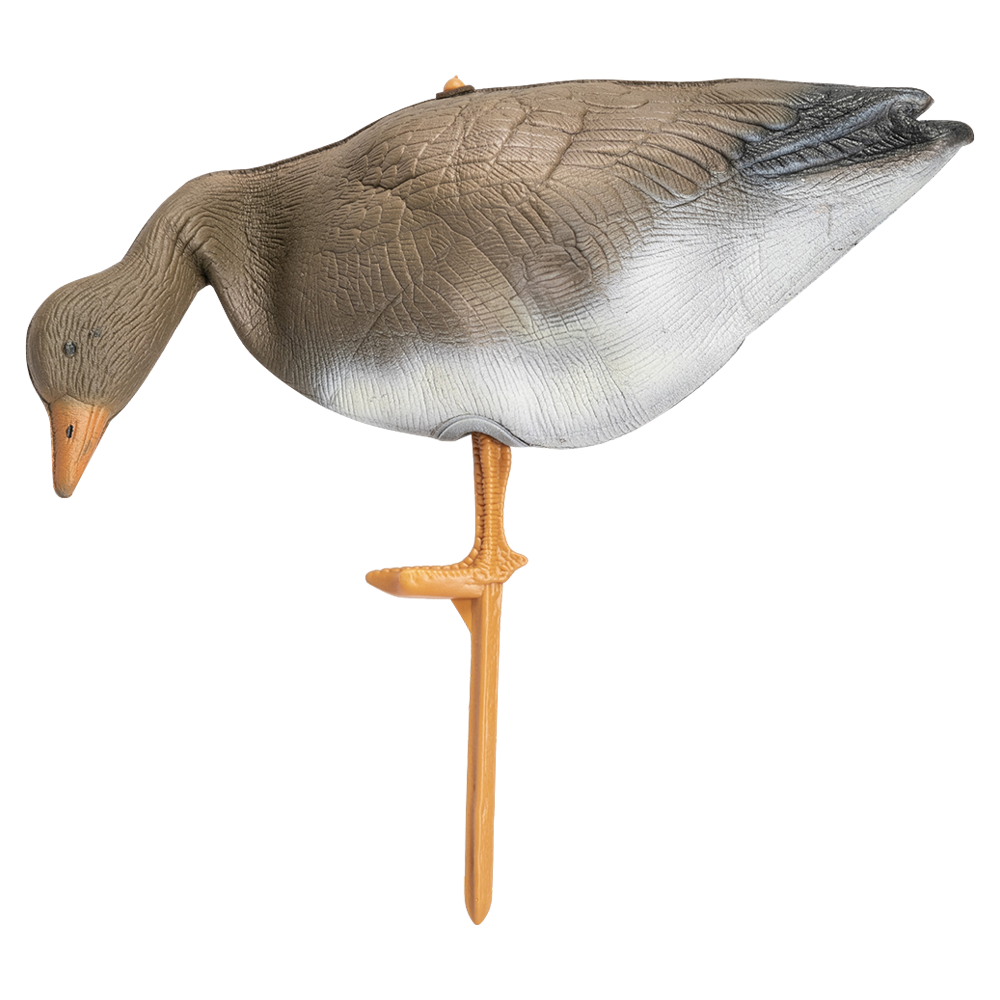 Гусь гуменник кормящийся (надувной). Фото №4 Гусь гуменник кормящийся (надувной). Фото №4