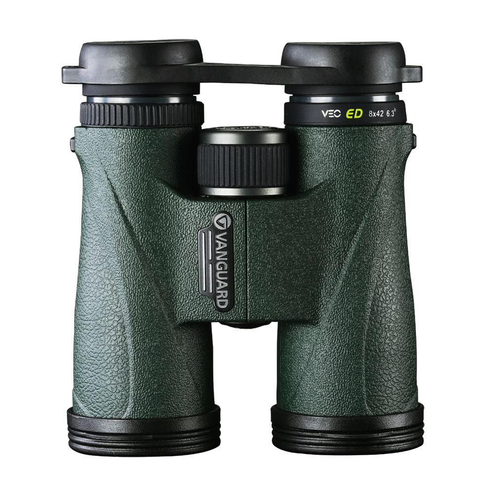Бинокль VANGUARD VEO ED 8X42 зелёный. Фото №1