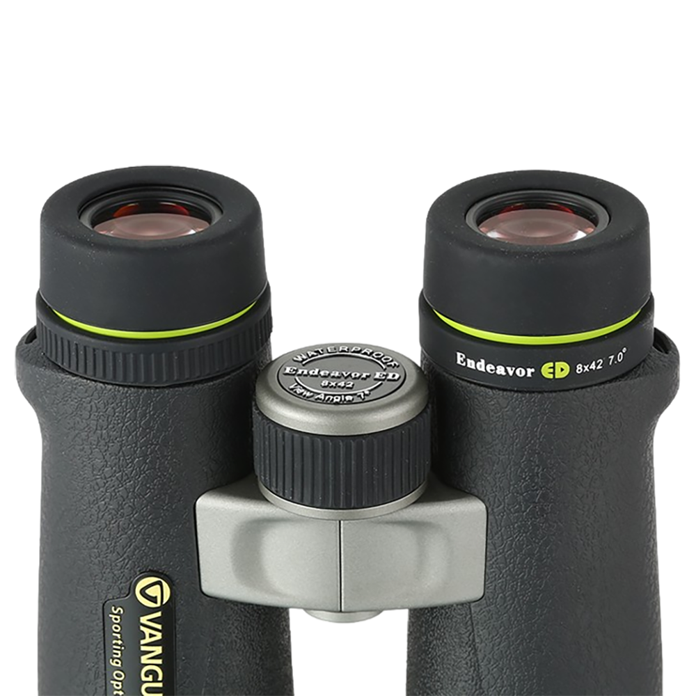 Бинокль VANGUARD ENDEAVOR ED 8х42 чёрный. Фото №3