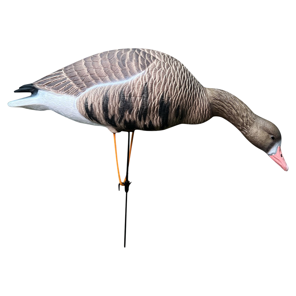 Белолобый гусь Oscar Decoys Avian-Mix ELITE 3D 6 шт Сминаемые(3-корм,2-отд,1-сторож)Съем.гол.ESG6. Фото №4 Белолобый гусь Oscar Decoys Avian-Mix ELITE 3D 6 шт Сминаемые(3-корм,2-отд,1-сторож)Съем.гол.ESG6. Фото №4