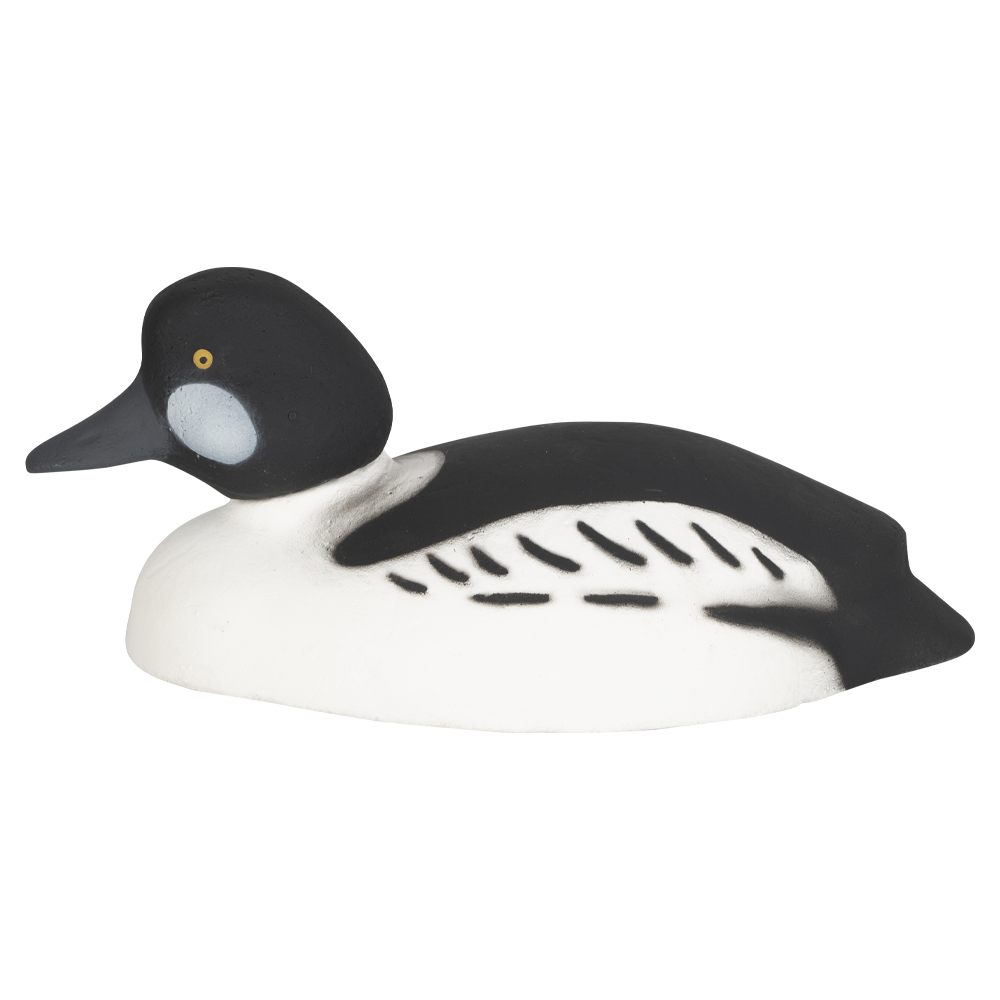 Муляж Гоголь-Селезень (Томск). Фото №3