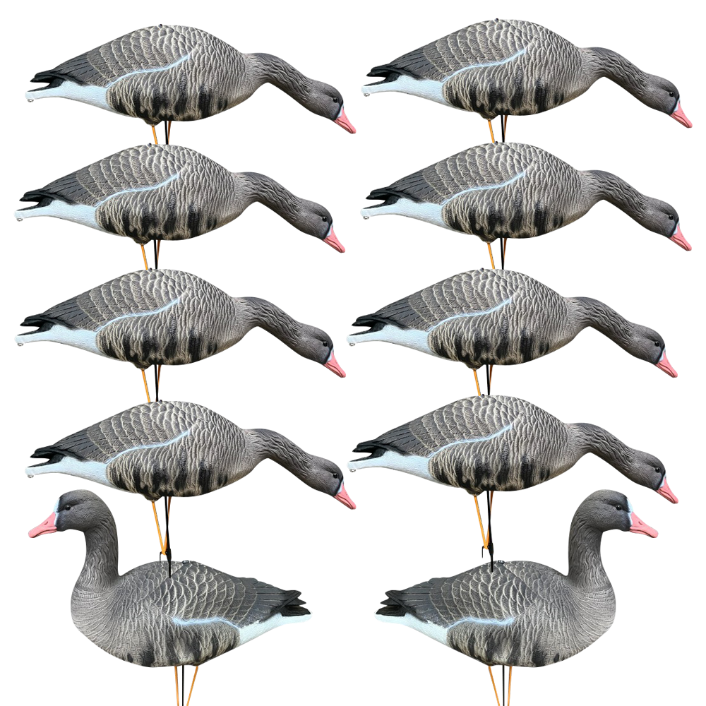 Белолобый гусь KING CUSTOM OSCAR DECOYS Speckbelly Goose Мягкий пластик 10 шт (8+2) SG10. Фото №1 Белолобый гусь KING CUSTOM OSCAR DECOYS Speckbelly Goose Мягкий пластик 10 шт (8+2) SG10. Фото №1