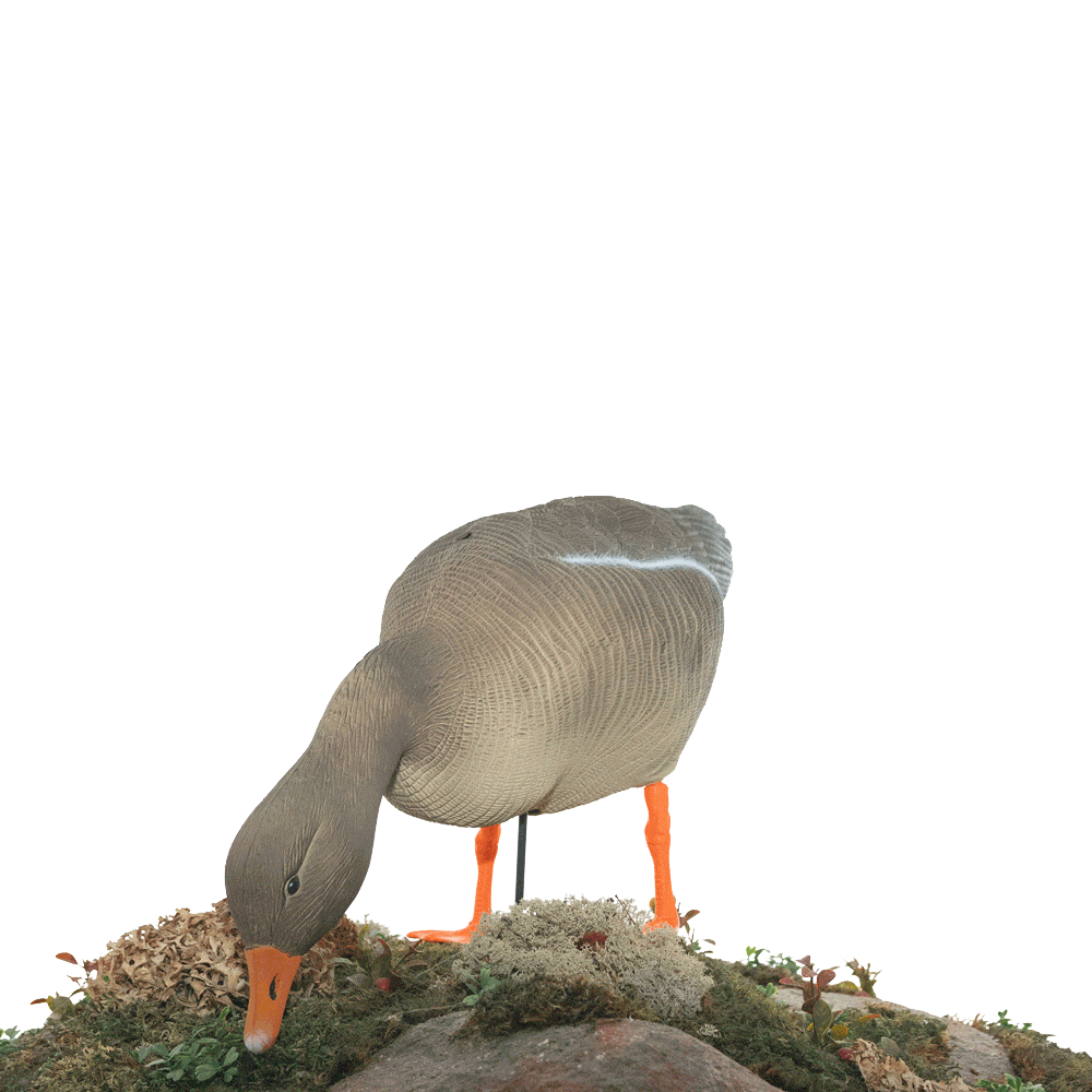 Серый гусь KING CUSTOM OSCAR DECOYS Greylag Goose Мягкий пластик 10 шт (8+2) EG10. Фото №5