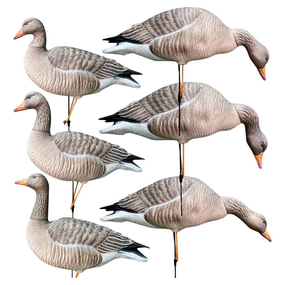 Серый гусь KING CUSTOM OSCAR DECOYS Greylag Goose Мягкий пластик 10 шт (8+2) EG10. Фото №8