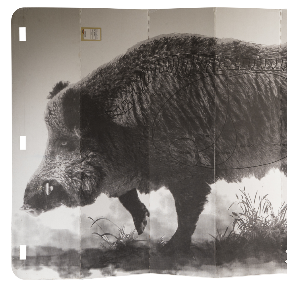 Мишень "Кабан". Фото №2