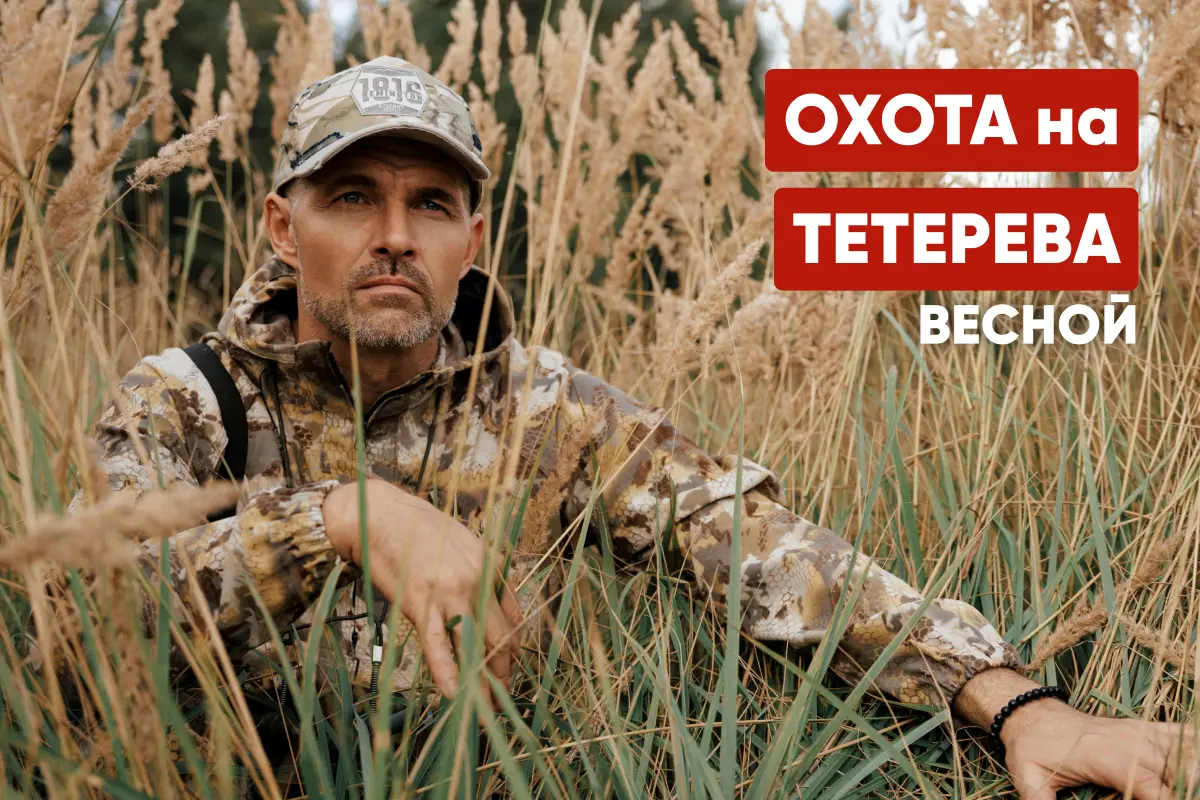 Охота на тетерева весной на току: способы, снаряжение, тактика и сроки Охота на тетерева весной на току: способы, снаряжение, тактика и сроки
