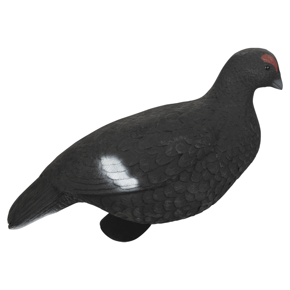 Муляж Тетерев (Томск). Фото №1