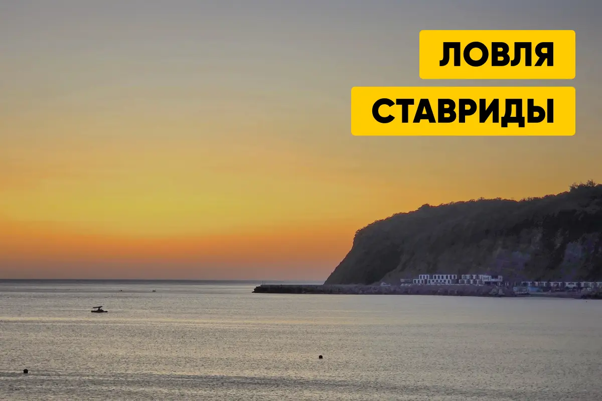 Ловля ставриды: где и как ловить, время суток, снасти и наживки