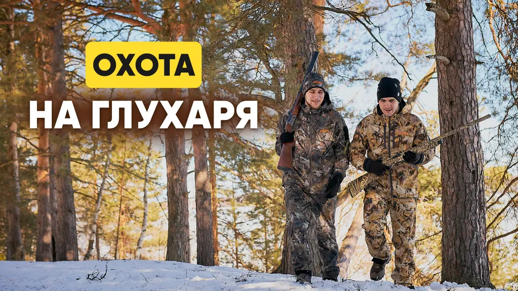 Охота на глухаря: тактика и особенности, снаряжение, как найти глухариный ток