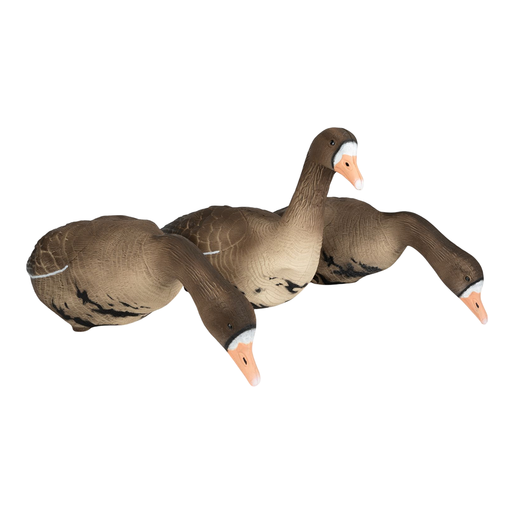 Комплект Белолобый гусь, Softplast®Softplast® 3D, BS-3D. Фото №5 Комплект Белолобый гусь, Softplast®Softplast® 3D, BS-3D. Фото №5