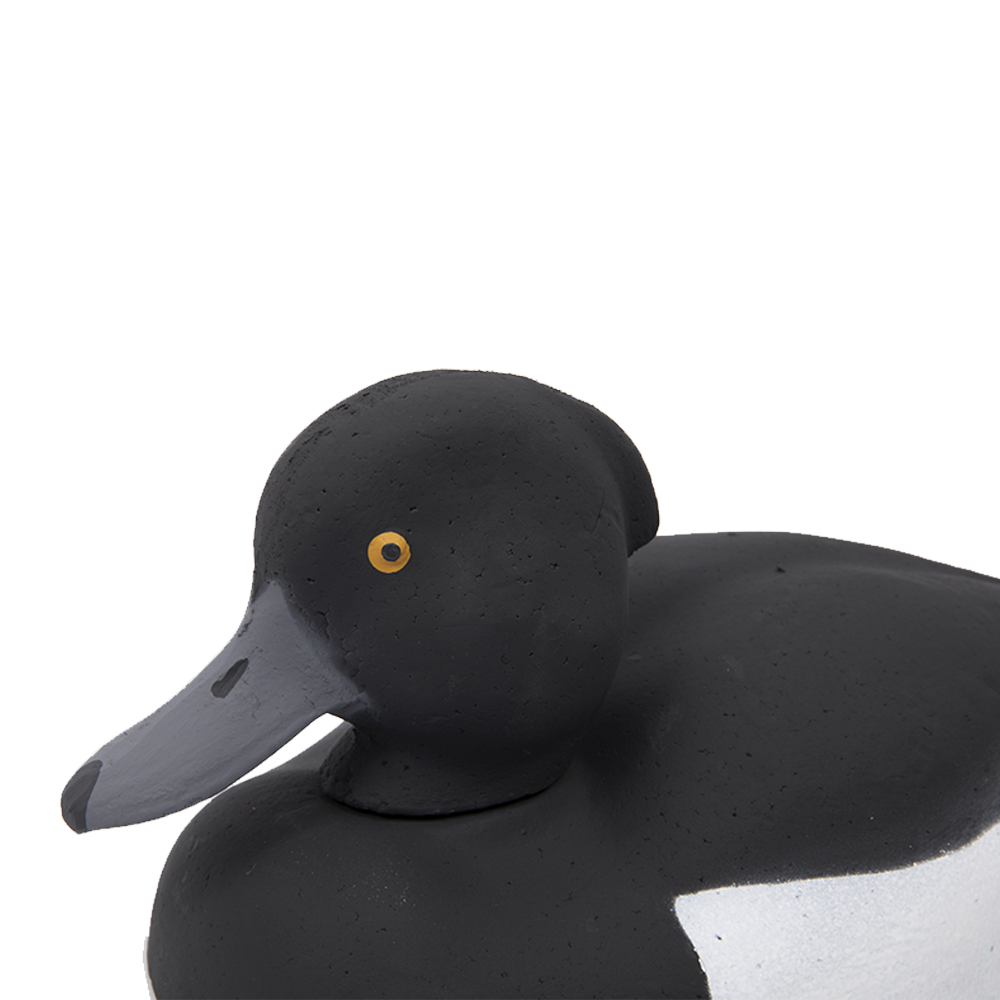 Муляж Хохлатая чернеть - Селезень (Томск). Фото №2