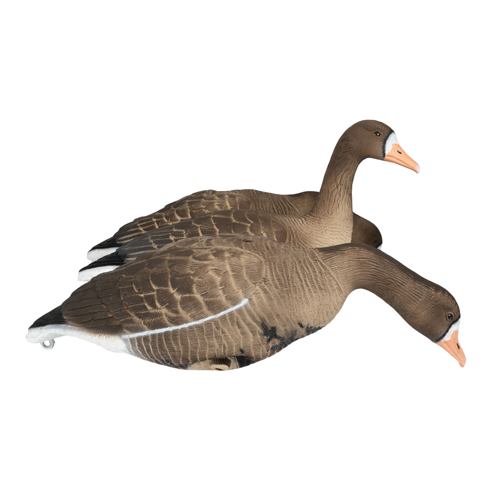 Комплект Белолобый гусь, Softplast®Softplast® 3D, BS-3D. Фото №7 Комплект Белолобый гусь, Softplast®Softplast® 3D, BS-3D. Фото №7