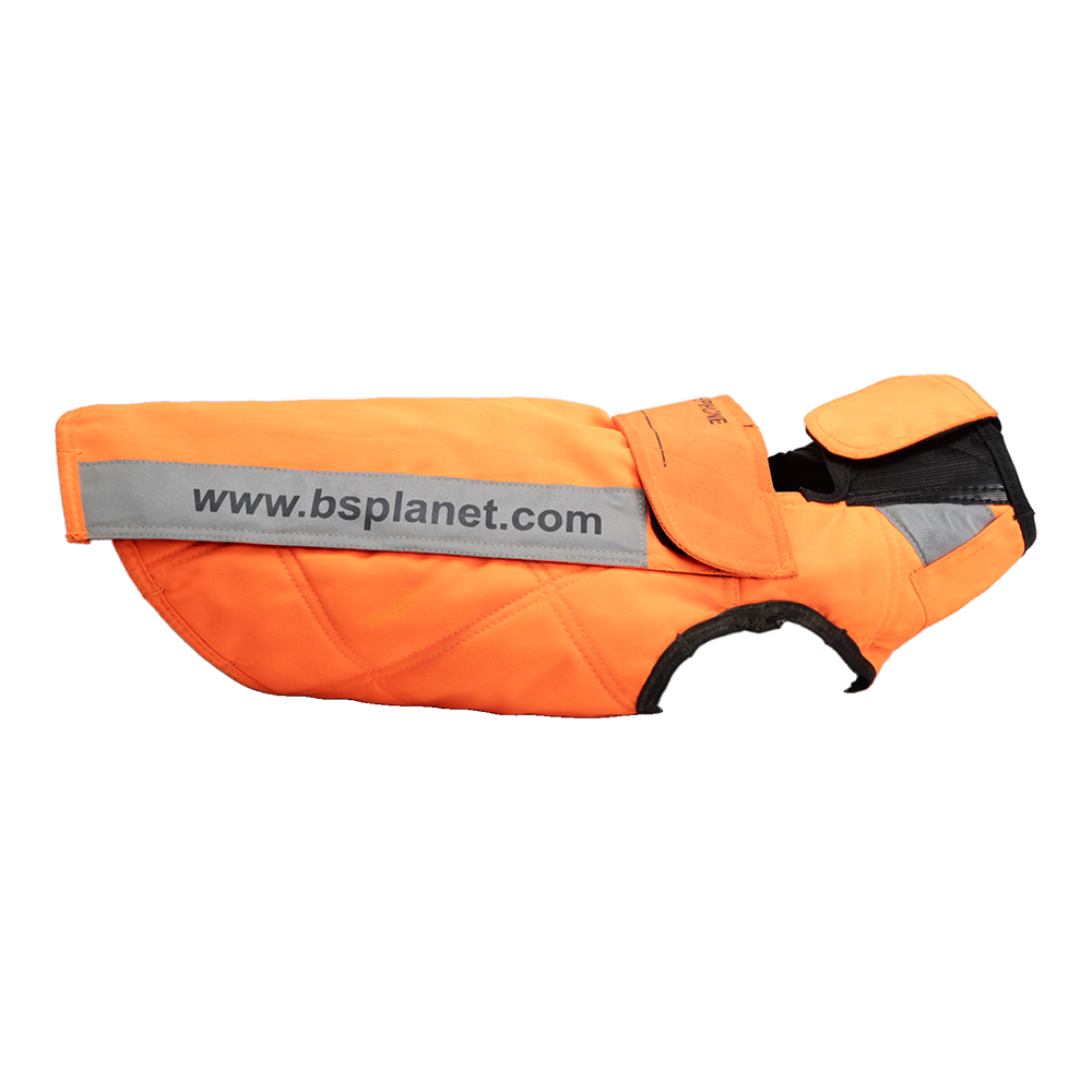 Жилет BS Planet для собак (самец). Фото №2