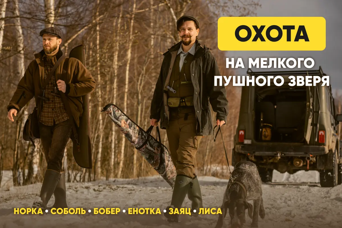 Охота на пушного зверя: лису, зайца, бобра, норку, соболя, енота Охота на пушного зверя: лису, зайца, бобра, норку, соболя, енота